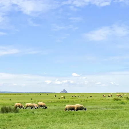 2 Bedroom Amazing In Appartement