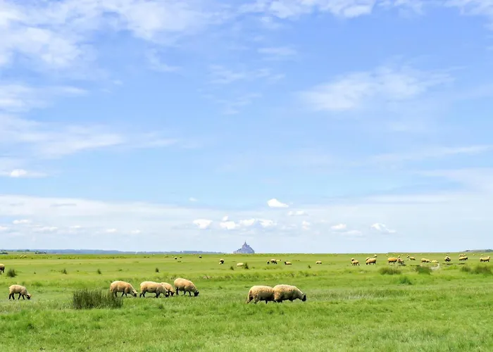 2 Bedroom Amazing In Apartment